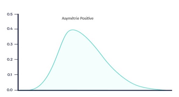 statistiques descriptives